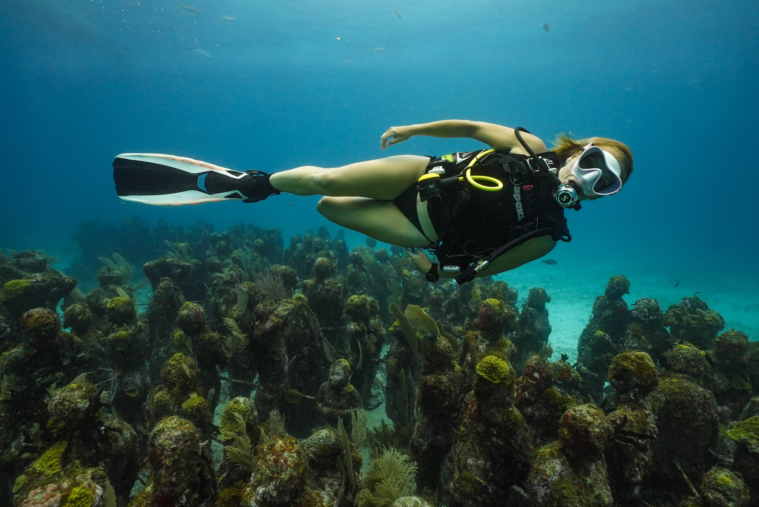 diving musa reef cancun isla mujeres